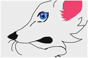 300x200 Anime Tutorials For Beginners Astonishing How To Draw An Beginner