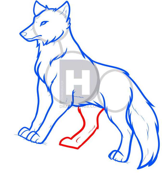 673x720 how to draw anime wolves, anime wolves, step