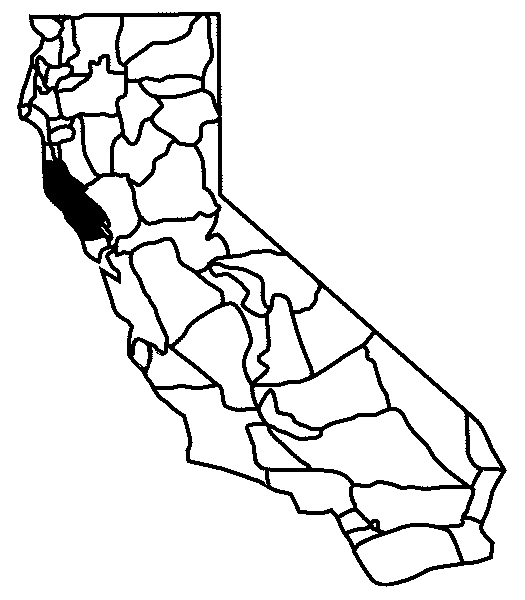 525x600 Collection Of Free California Drawing Ankle Download On Ui Ex