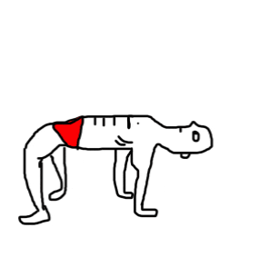 285x283 Illustration Drawing Gif