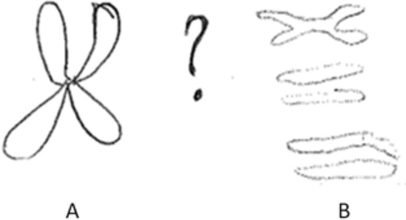 800x434 improving students' representational competence through a course