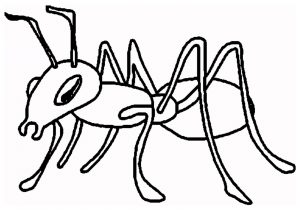 300x210 Drawing Of An Ant How To Draw An Ant For Kids Ant Drawing Lesson