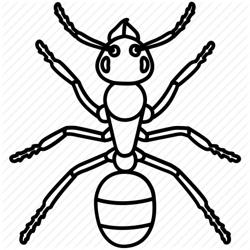 512x512 Drawing Insect Ant Transparent Png Clipart Free Download