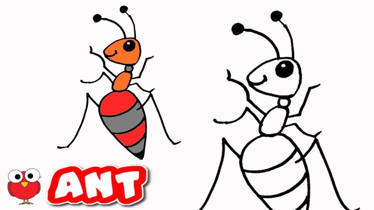 1280x720 How To Draw Ant Step