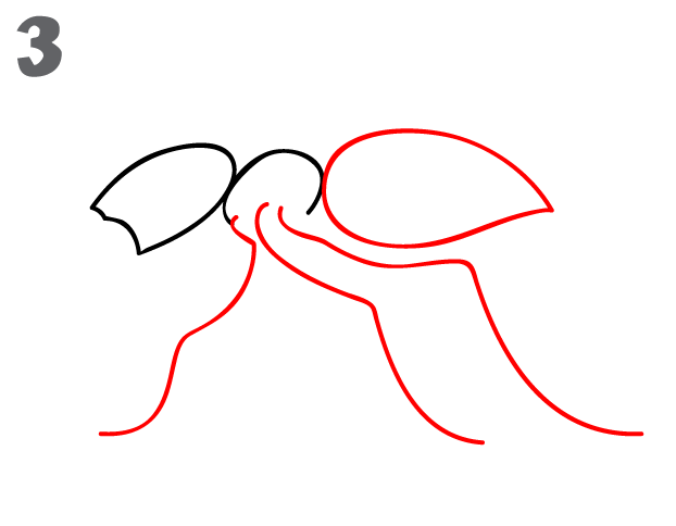 622x484 How To Draw An Ant