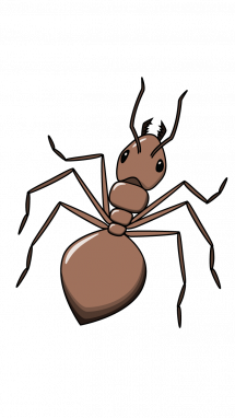 215x382 How To Draw Ant Animals Step Drawing Drawings, Ants, Pencil
