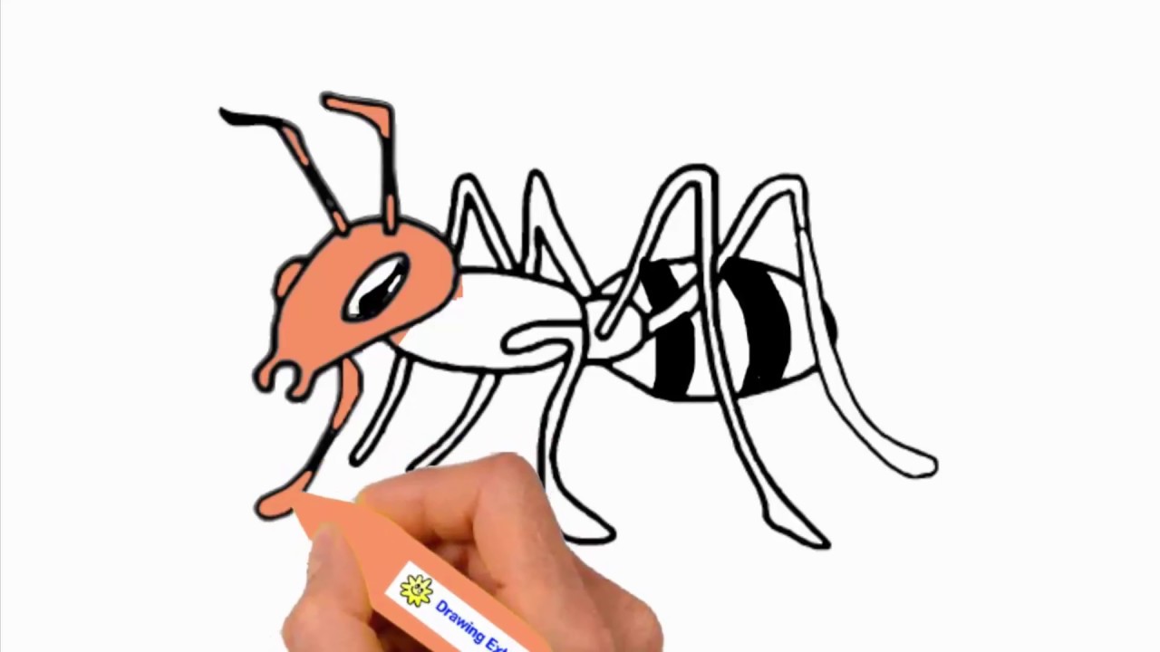 1280x720 Ant Drawing How To Draw An Ant For Kids Ant Drawing Lesson Step