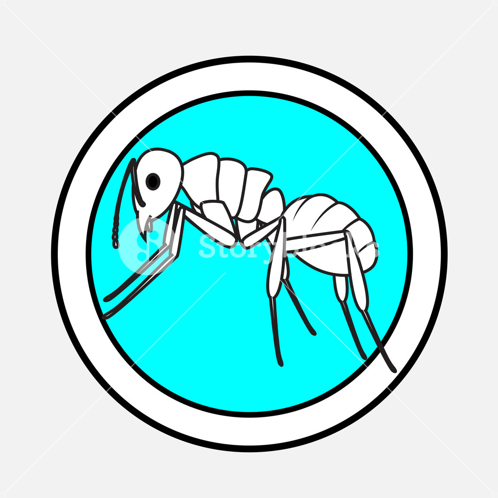 1000x1000 Ant Drawing Vector Illustration Royalty Free Stock Image