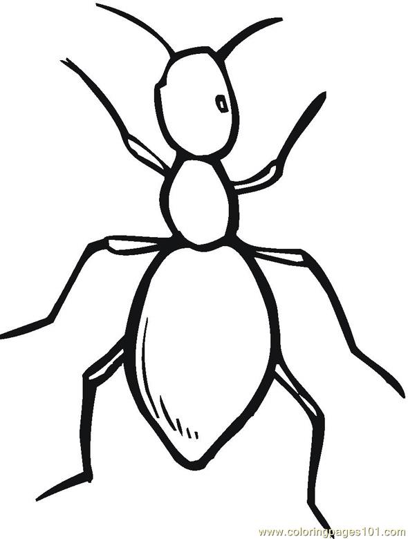 Ant Drawing For Kids