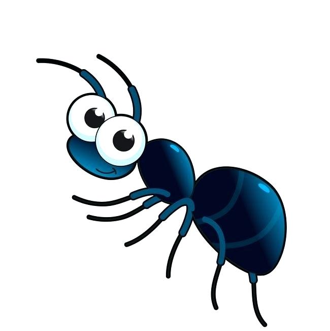 650x651 drawings of ants free printable pictures of ants for kids coloring