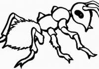 200x140 Free Printable Ant Coloring Pages For Kids For Ant Coloring