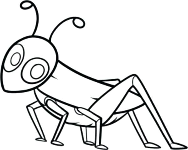 Ant Drawing For Kids | Free download on ClipArtMag