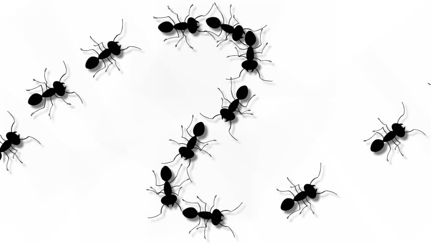 Ant Line Drawing | Free Download On ClipArtMag