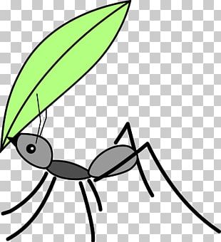 310x340 Ant Insect Drawing Illustration Png, Clipart, Ant Cartoon, Ant