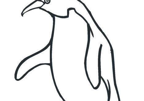 468x329 Collection Antartica Animal Coloring Pages Pictures