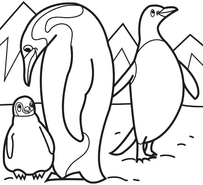 700x638 Coloring Pages Interesting Antarctic Animals Sheets