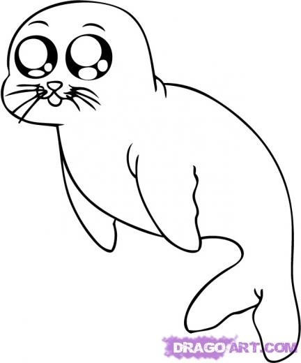 432x520 harp seal clipart antarctica