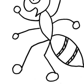 336x336 Anteater Coloring