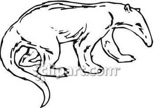300x212 Anteater Outline