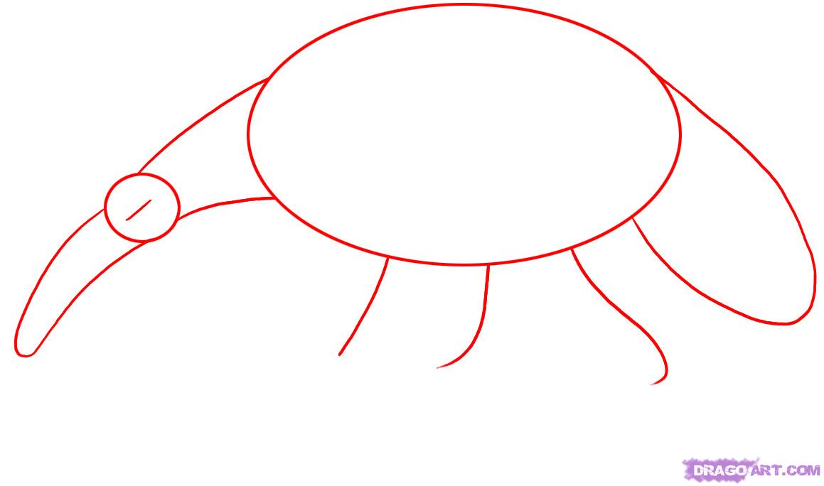 1159x684 Draw An Anteater, Step