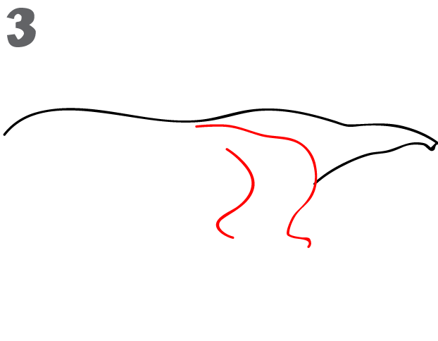 622x484 How To Draw An Anteater