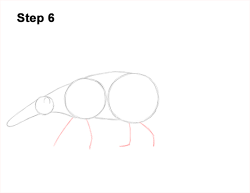 500x386 How To Draw An Anteater