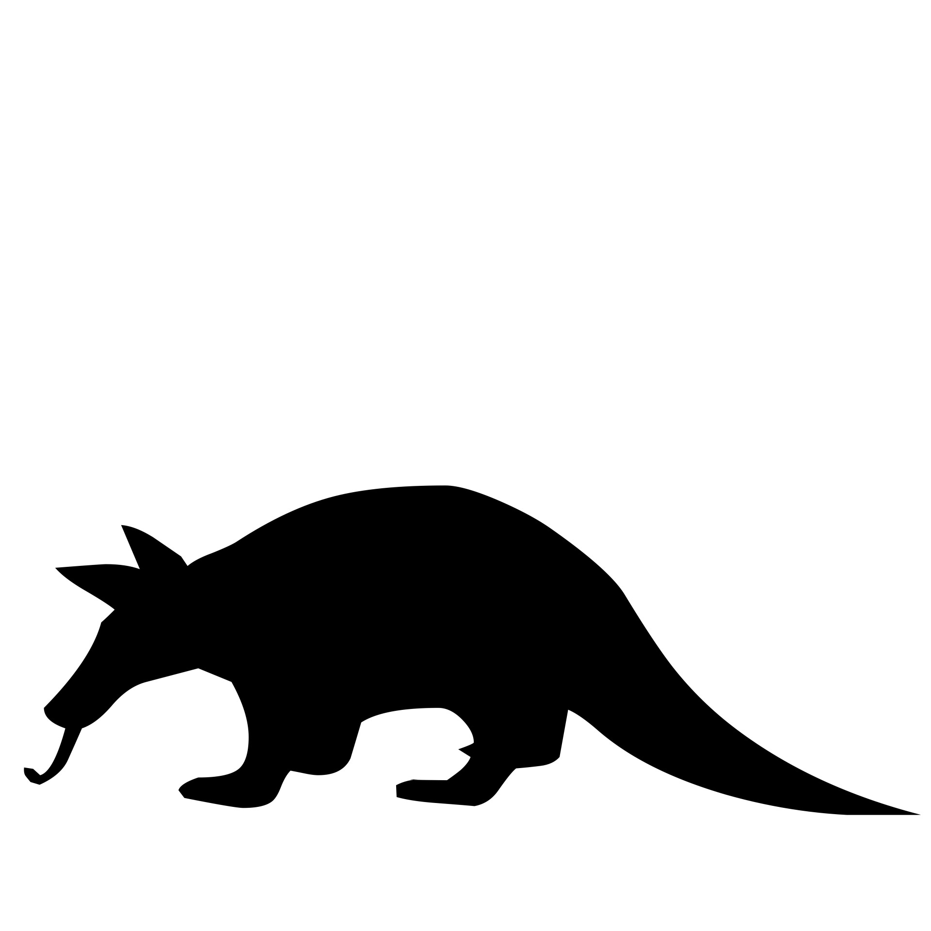 1920x1920 Isolated, America, Mammal, White, South