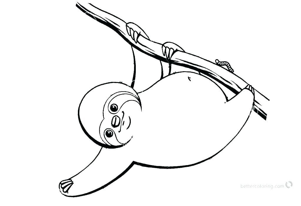 1024x700 Giant Anteater Coloring Pages