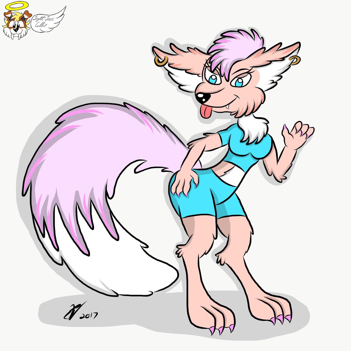 1200x1200 Light Lux Collie On Twitter Fluffy