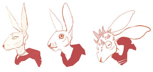 500x234 Anthro Hare Tumblr