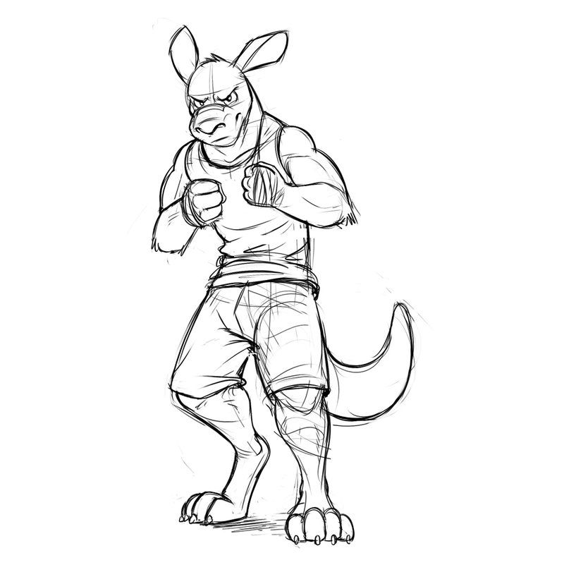 800x811 kangaroo drawing anthro for free download