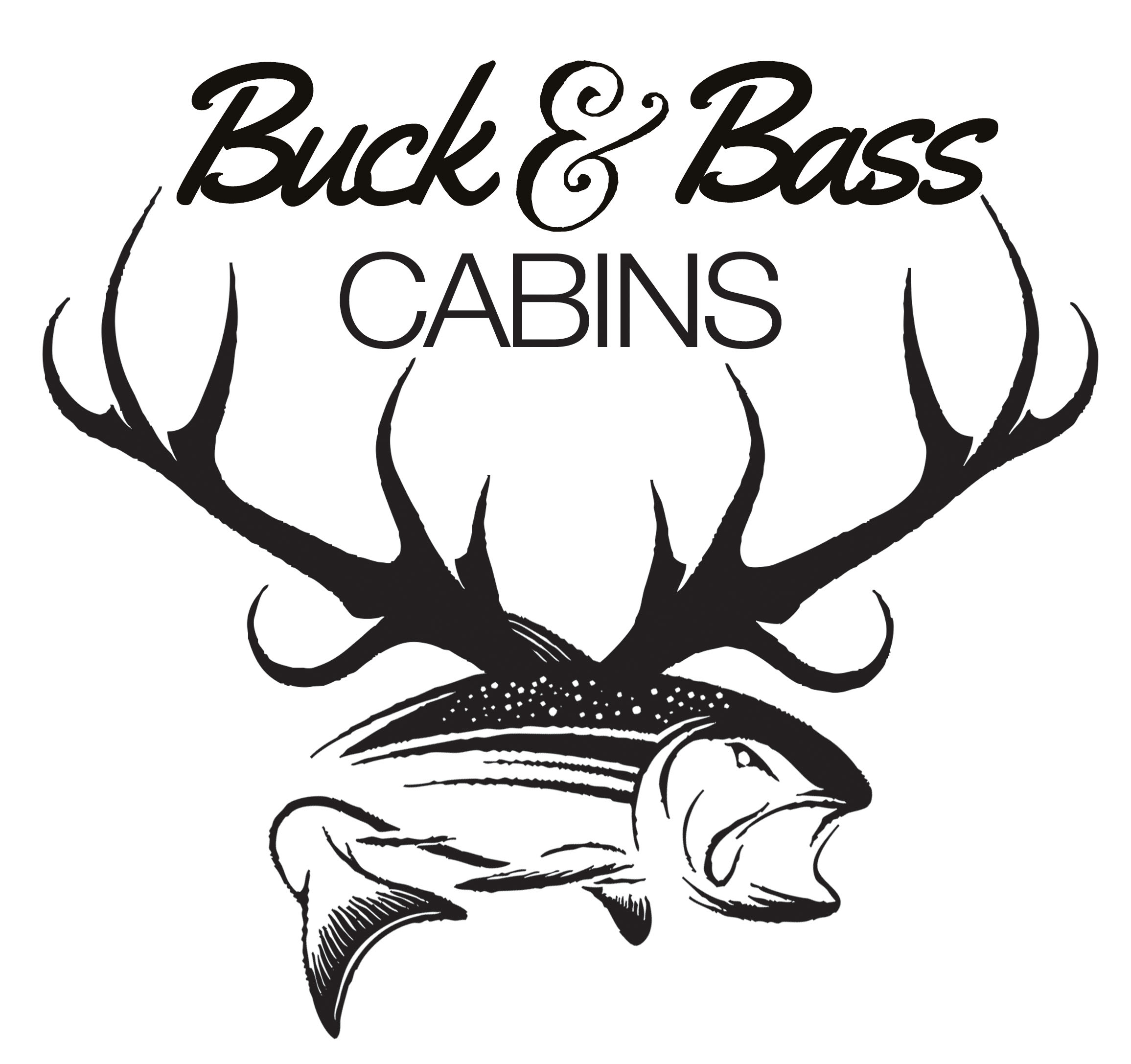 2311x2174 Buck Drawing Curtains Antlers Megabuck Outline Cartoon Starbuck