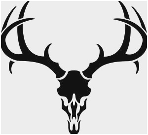 300x274 Deer Antlers Clipart Amazing Deer Skull Drawing Mower Clipart