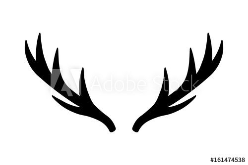 500x334 deer antlers vector illustration drawing isolated deer antlers