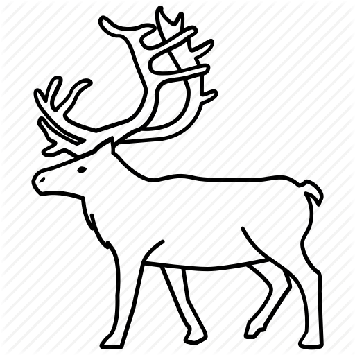 512x512 raindeer drawing elk transparent png clipart free download