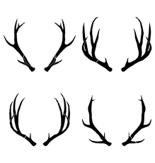 219x230 Antlers