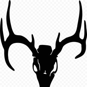 300x300 Best Hd Deer Antler Vector Clip Art Drawing Sohadacouri