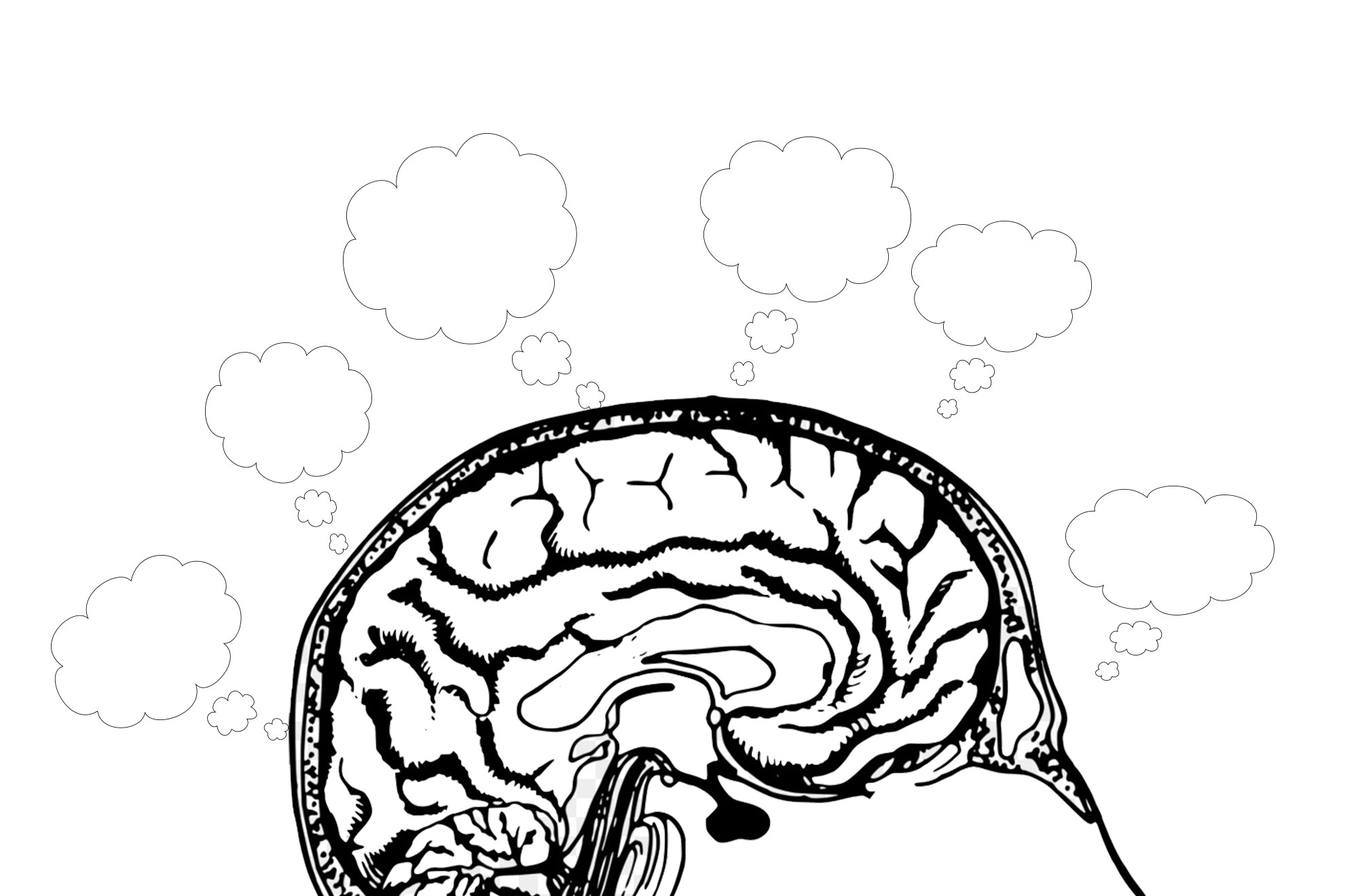 2000x1319 Anxiety A Top Concern For College Students Viewfinder Media