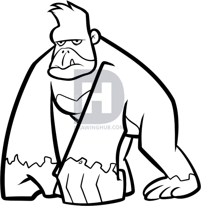 703x720 How To Draw An Ape, Step