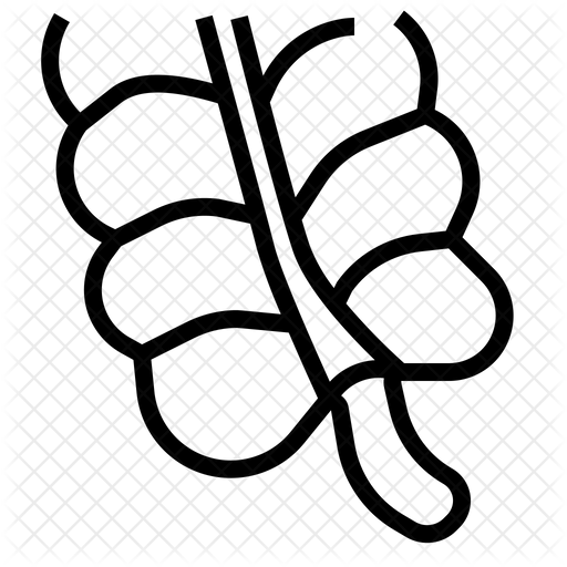 512x512 Appendix Icon Of Line Style