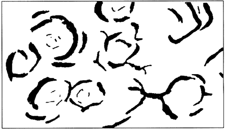 450x261 Kgs Subsurface Geology Series Americus Limestone Member