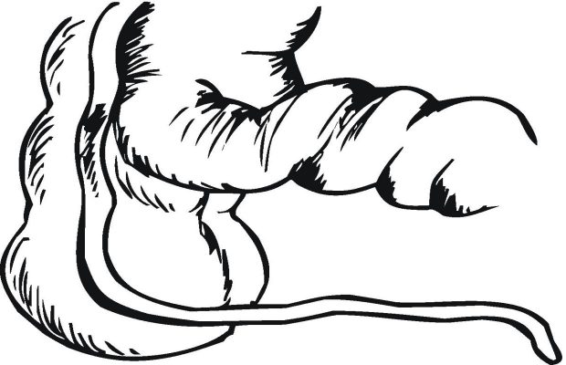 620x400 Scientists Find A Link Between Parkinson's Disease