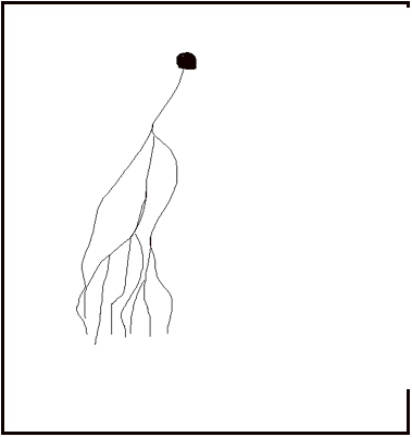 379x402 Untitled Document