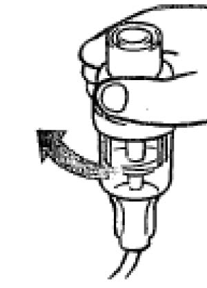 300x417 Appendix Epinephrine Nebulization