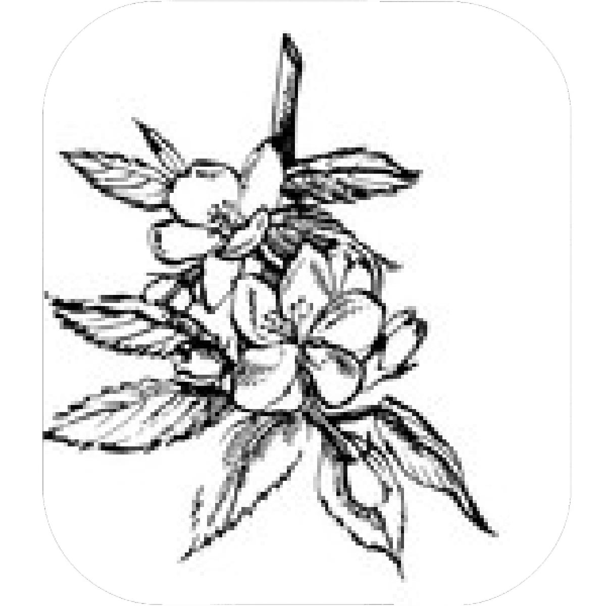 1200x1200 Designs Mein Mousepad Design Mousepad Selbst Designen