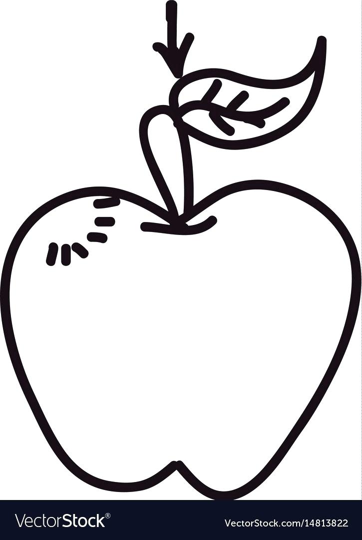 725x1080 Apple Draw How To Draw Apple Coloring Book For Kids Drawing
