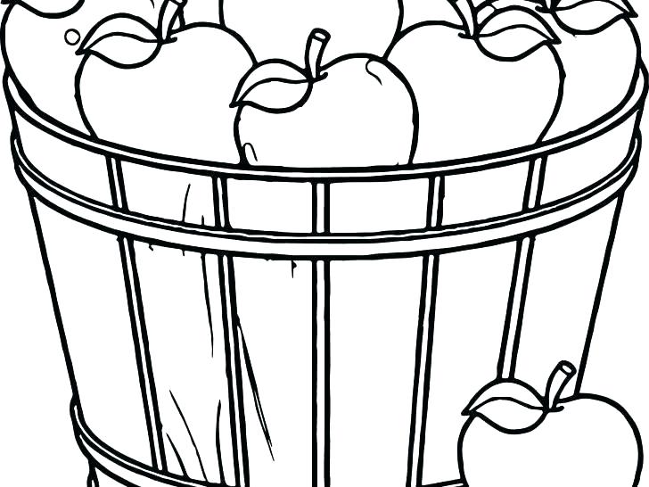 728x546 Drawing Of Fruit Basket For Kids Apple Coloring Pictures Fruit