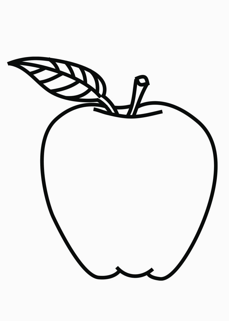 733x1024 Line Drawing Apple