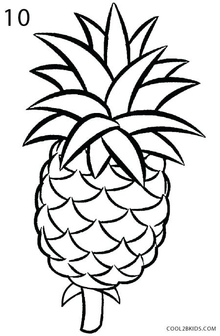 450x687 Pine Apple Drawing Pineapple Drawing Simple