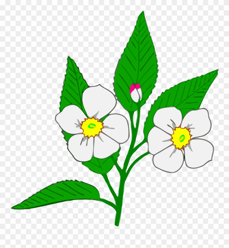 880x953 Apple Clip Art